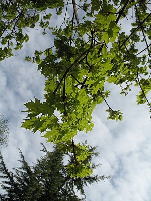 img_5567.jpg