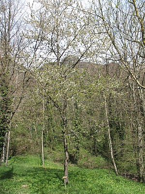 img_5571.jpg