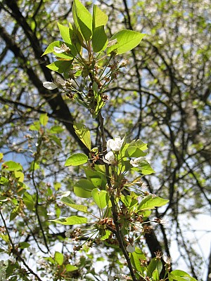img_5572.jpg