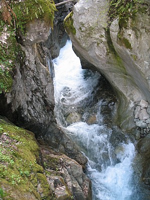 img_5610.jpg
