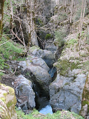 img_5611.jpg