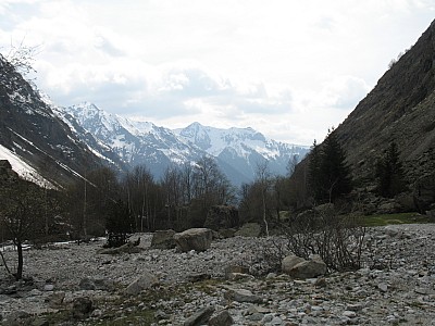 img_5548.jpg