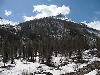 img_5656.jpg