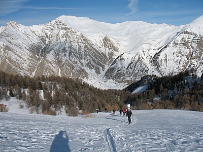 img_8575.jpg