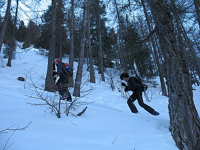 img_8607.jpg