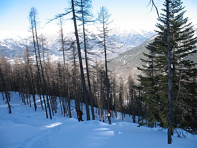 img_8615.jpg