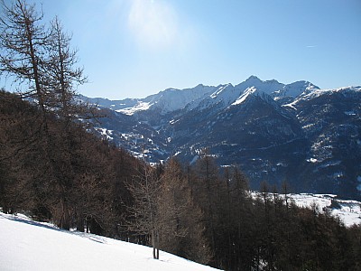 img_8622.jpg