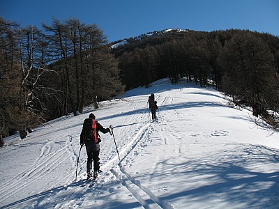 img_8624.jpg