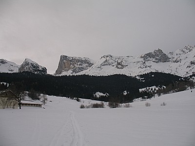img_8732.jpg