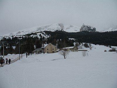 img_8753.jpg