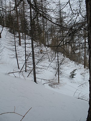 img_8835.jpg