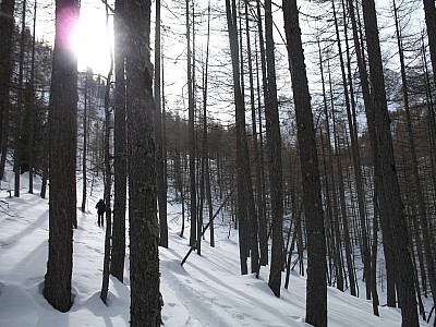img_8865.jpg