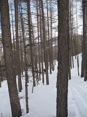 img_8866.jpg