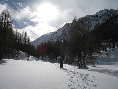 img_8868.jpg