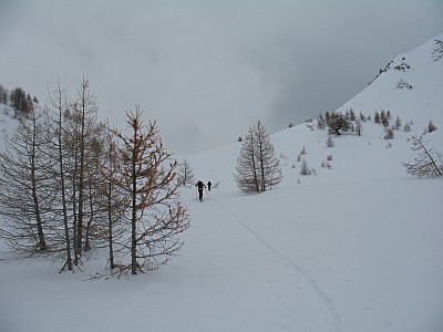 img_8871.jpg