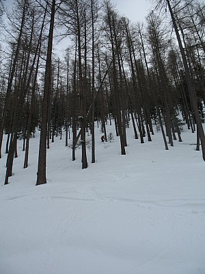 img_8873.jpg