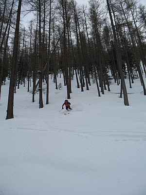 img_8874.jpg