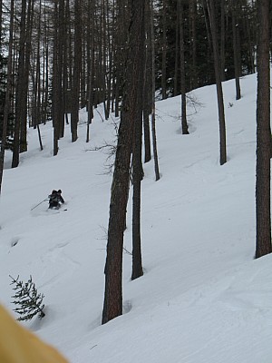 img_8875.jpg