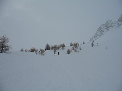 img_8934.jpg