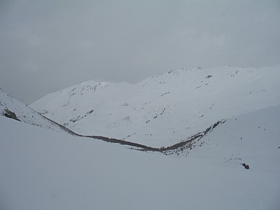 img_8942.jpg