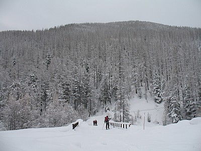 img_8946.jpg