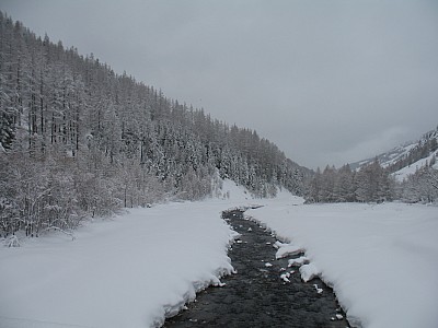 img_8947.jpg