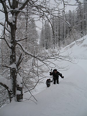 img_8949.jpg