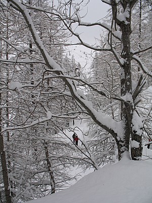 img_8950.jpg
