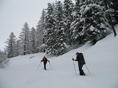 img_8954.jpg
