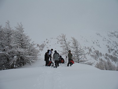 img_8959.jpg