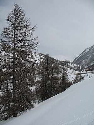 img_8969.jpg