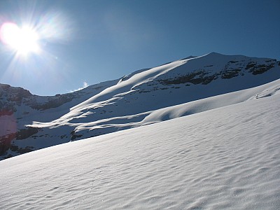 img_0693.jpg