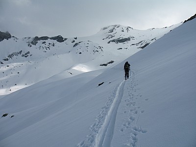 img_0749.jpg