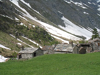 img_0755.jpg