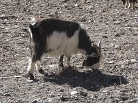 DSC04906.JPG