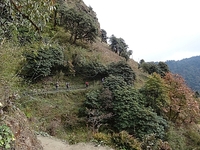 DSC05806.JPG