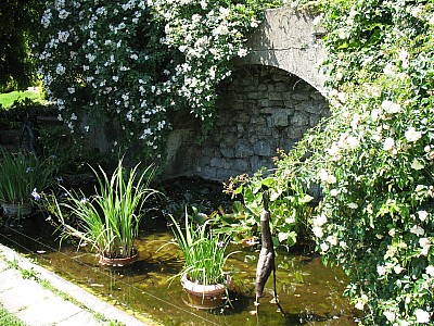 IMG_2462.JPG