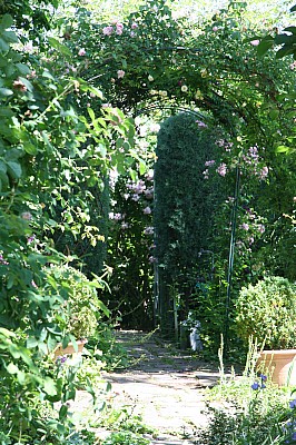 IMG_2910.JPG