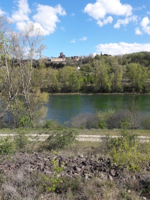 20210406_162551.jpg