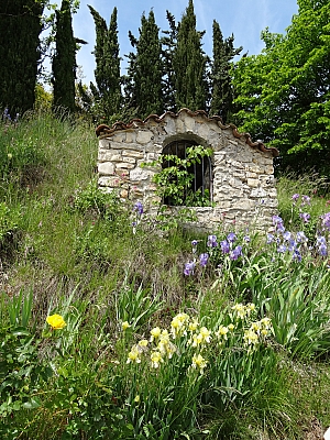 DSC07117.JPG