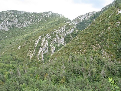 1008_provence_112.jpg