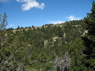 IMG_8227.JPG