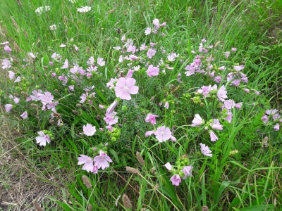 20160724_153345.jpg