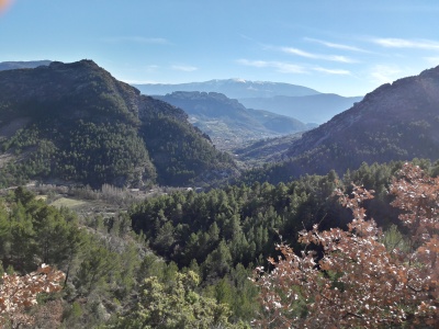 20170222_151400_HDR.jpg