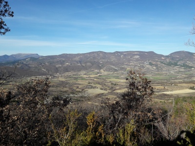 20170222_155838.jpg