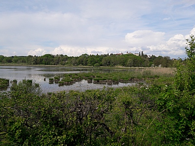 20220504_164712.jpg