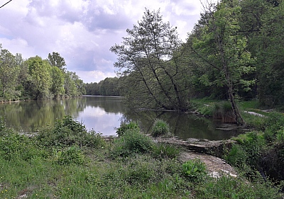 20220504_174812.jpg