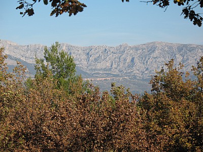 img_9534.jpg
