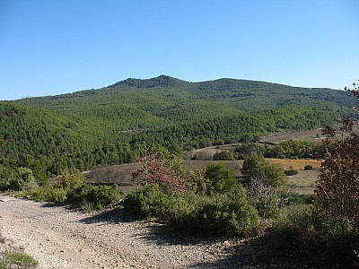 img_9536.jpg