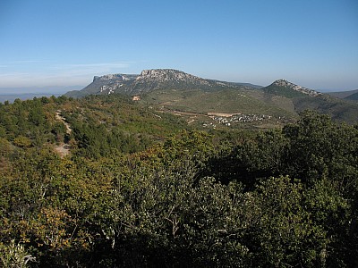img_9540.jpg
